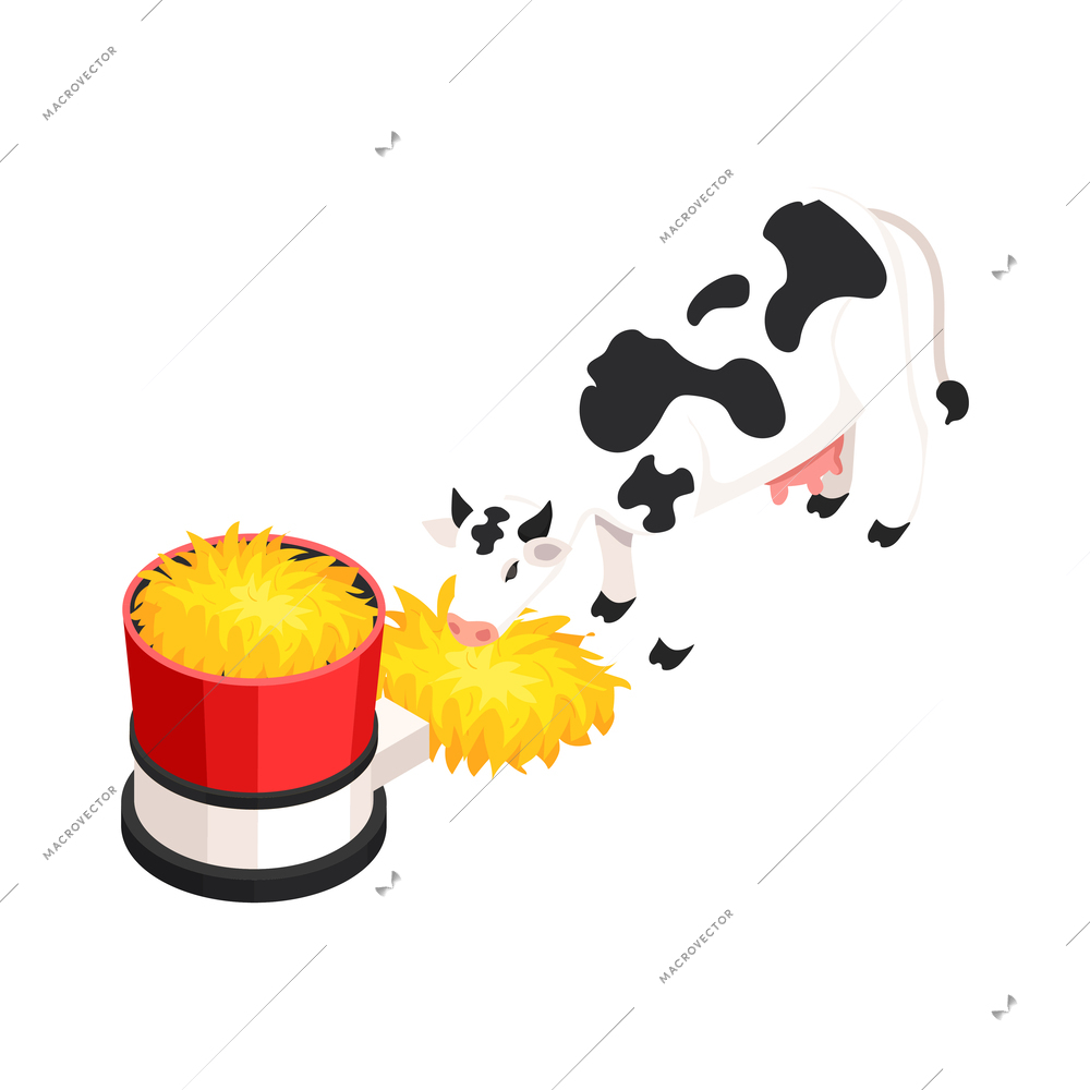 Smart farm isometric icon with cow eating hay from automated feeding station 3d vector illustration