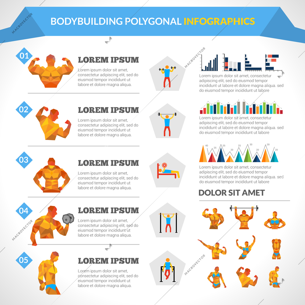 Bodybuilding polygonal infographics with male and female figures and charts vector illustration