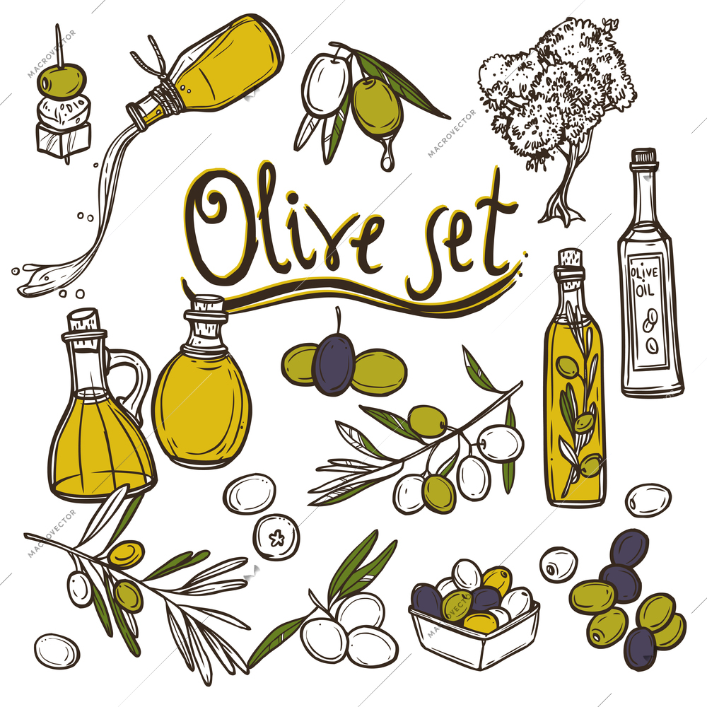 Olive sketch decorative icons set with tree branch and oil bottle isolated vector illustration