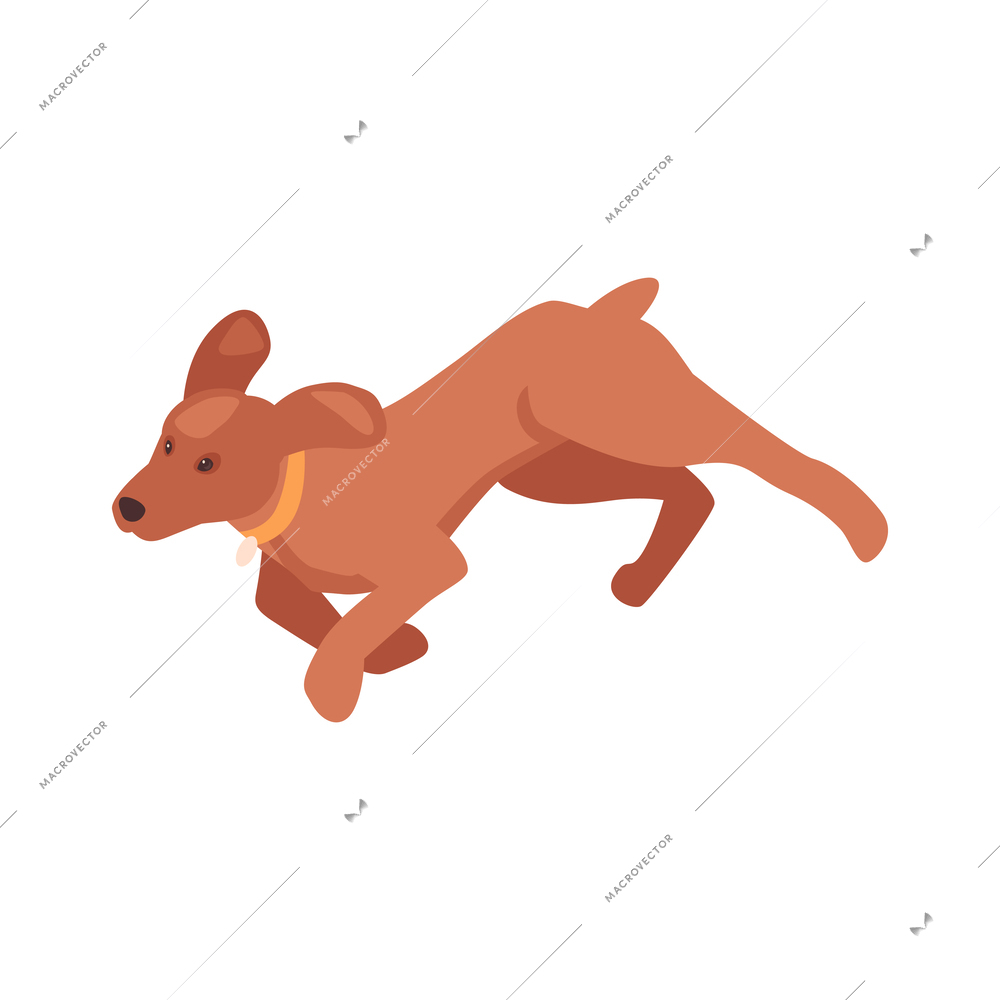 Isometric running brown dog with collar 3d vector illustration