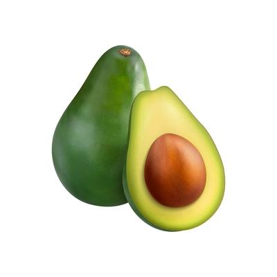 Realistic whole and half ripe avocado vector illustration