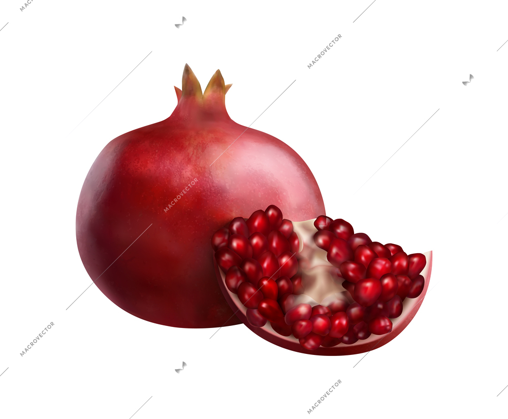 Realistic whole and cut pomegranate vector illustration