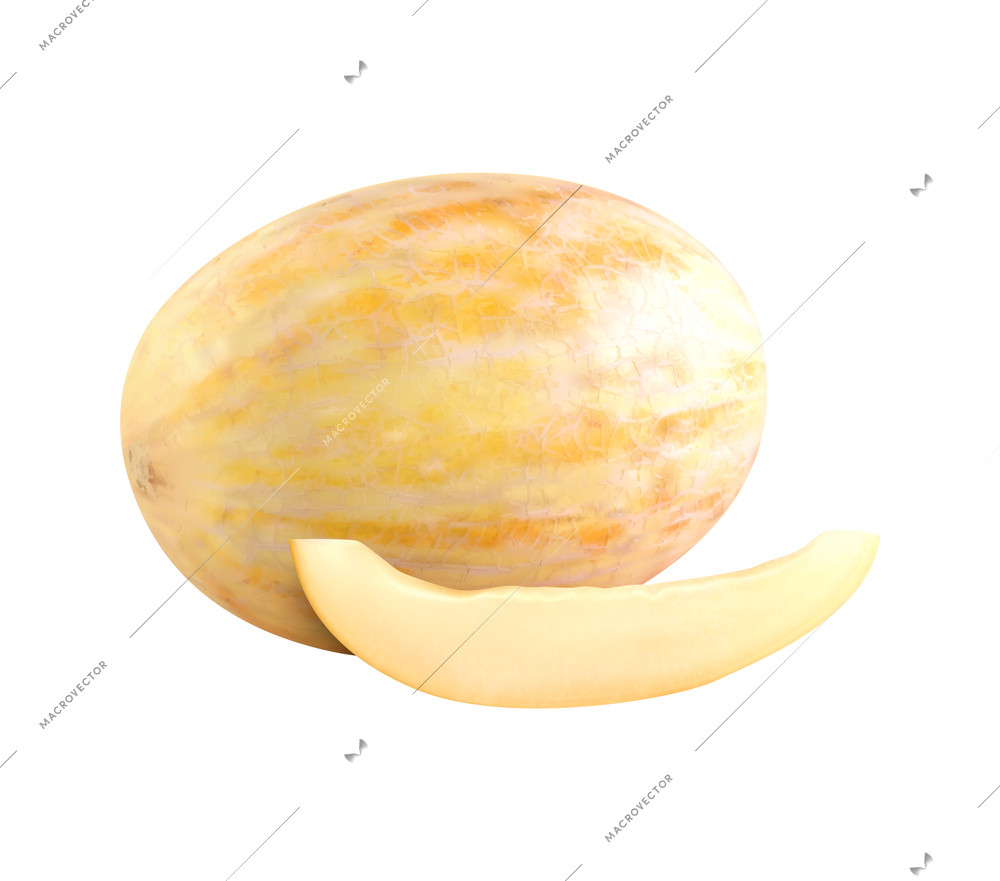 Realistic whole and cut ripe melon vector illustration