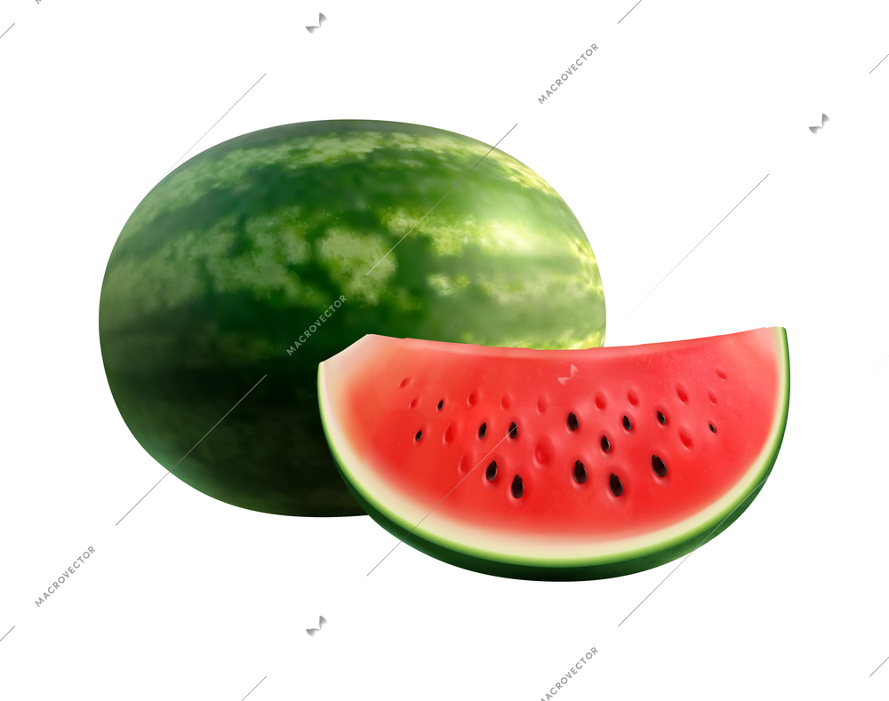 Realistic whole and cut ripe watermelon realistic vector illustration