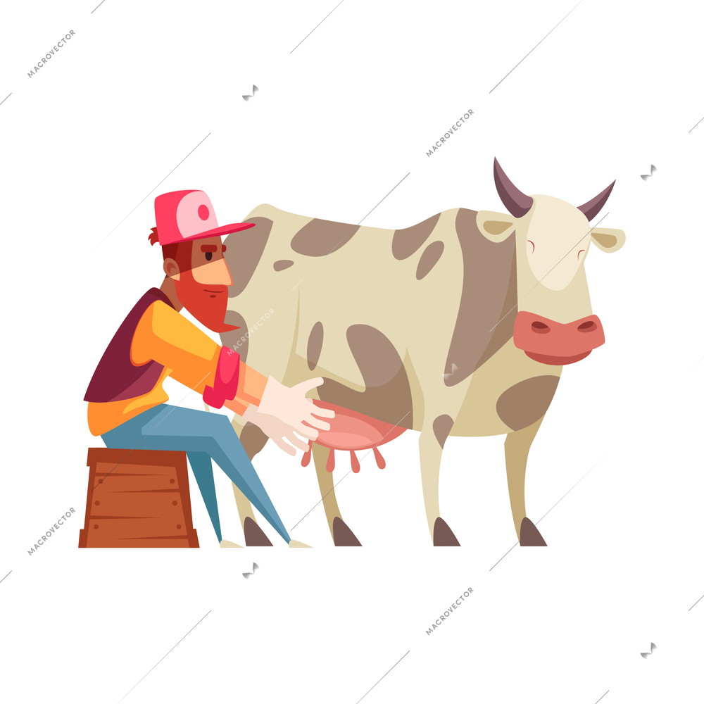 Bearded man milking cow flat vector illustration