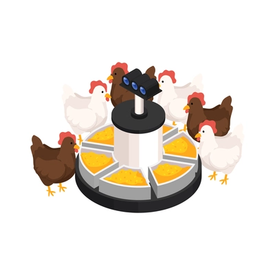 Smart farm isometric icon with chicken eating grains from feeding station equipped with camera 3d vector illustration