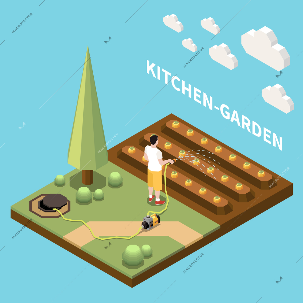 Kitchen garden isometric background with male character watering beds using for irrigation modern garden pump vector illustration