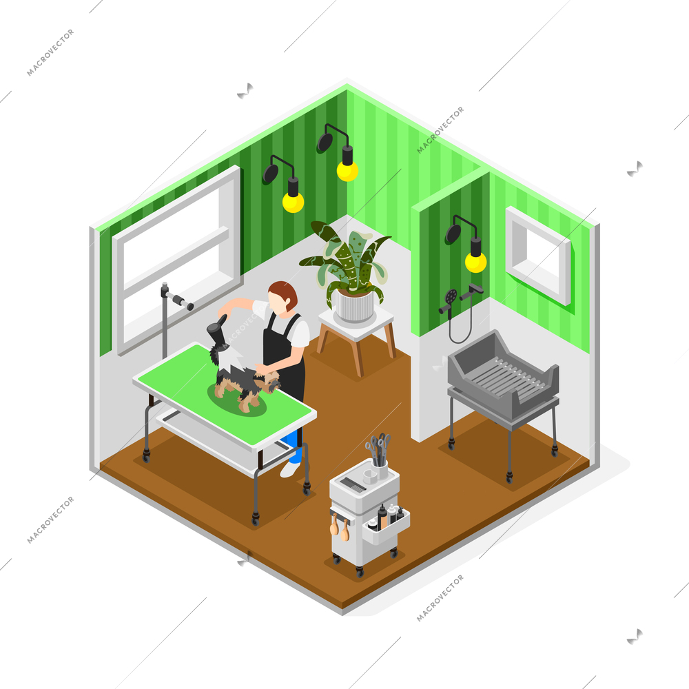 Grooming salon isometric composition with room interior view tools and appliances and female specialist examining dog vector illustration