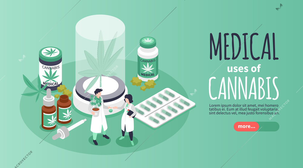 Medical uses of cannabis horizontal banner representing cannabinoids drugs for treatment and pain relief isometric vector illustration