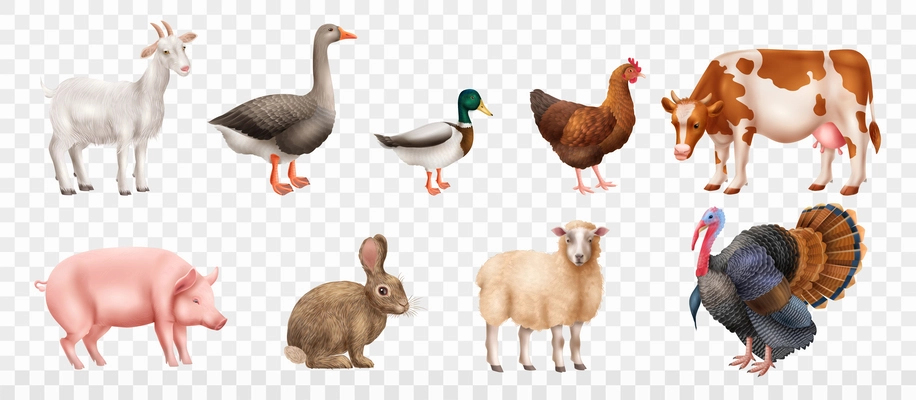 Realistic farm animals set with goose goat turkey sheep rabbit cow duck hen pig isolated against transparent background vector illustration