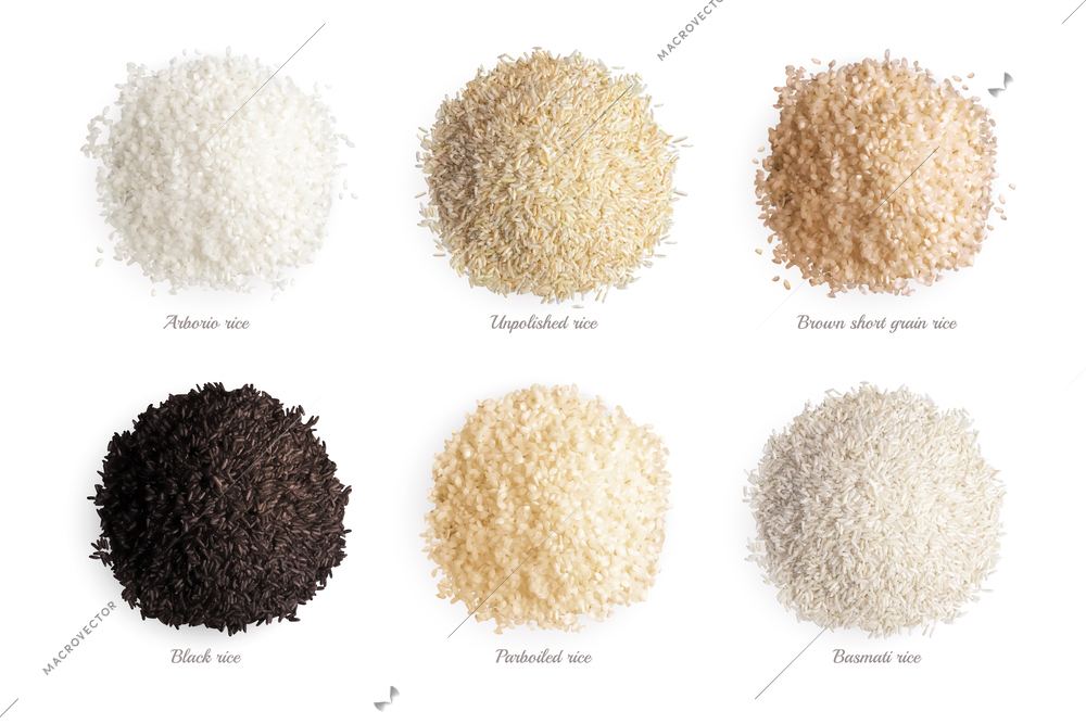 Rice varieties realistic collection of arborio unpolished brown short grain black parboiled basmati types isolated vector illustration