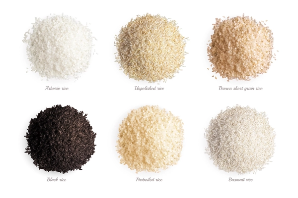 Rice varieties realistic collection of arborio unpolished brown short grain black parboiled basmati types isolated vector illustration