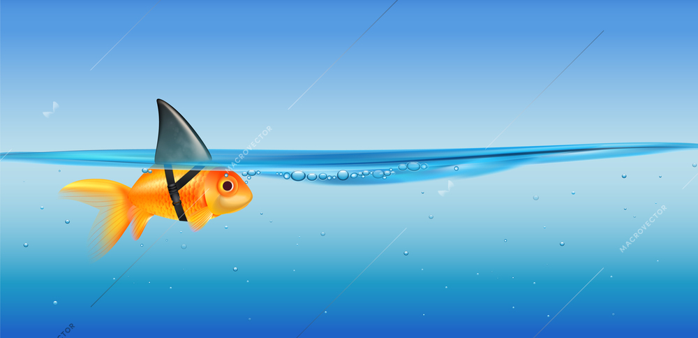 Big dream cartoon realistic composition depicting little golden fish with shark fin strapped on vector illustration