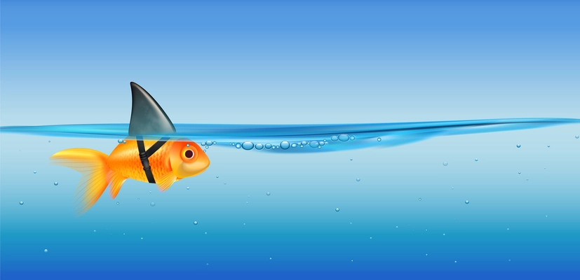 Big dream cartoon realistic composition depicting little golden fish with shark fin strapped on vector illustration