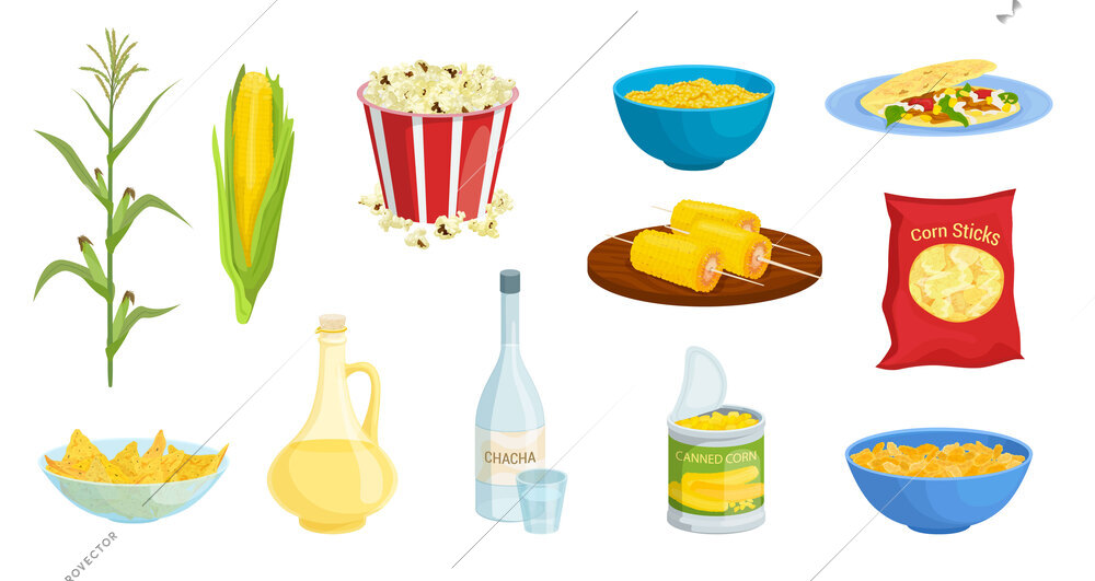 Corn products set with isolated images of raw plant popcorn sticks dishes on plates and drinks vector illustration