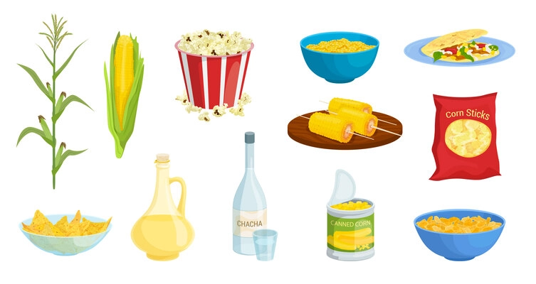 Corn products set with isolated images of raw plant popcorn sticks dishes on plates and drinks vector illustration