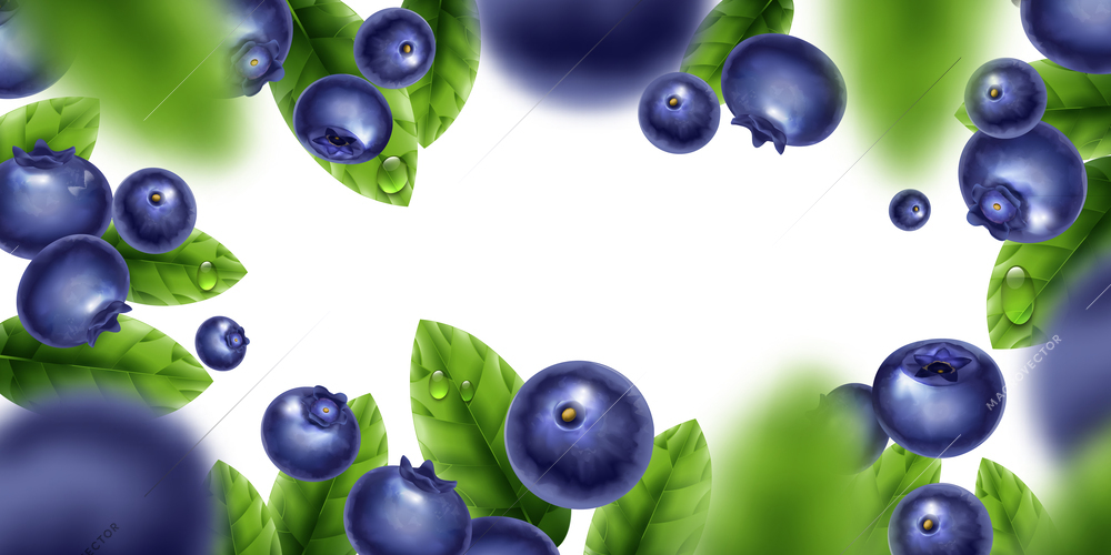 Realistic blueberry frame background with fresh ripe berries green leaves and blurred elements vector illustration