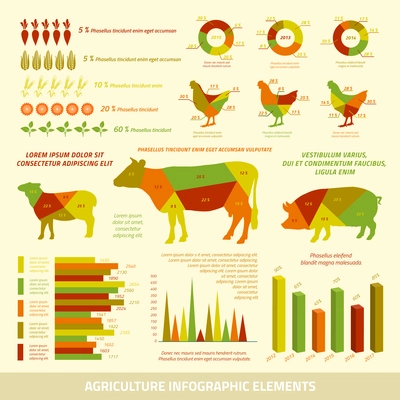 Agriculture infographics flat design elements of livestock chickens and crops vector illustration