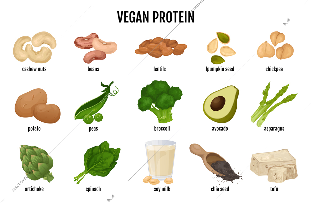Vegan protein food set with isolated icons of nuts beans peas and broccoli icons with text vector illustration