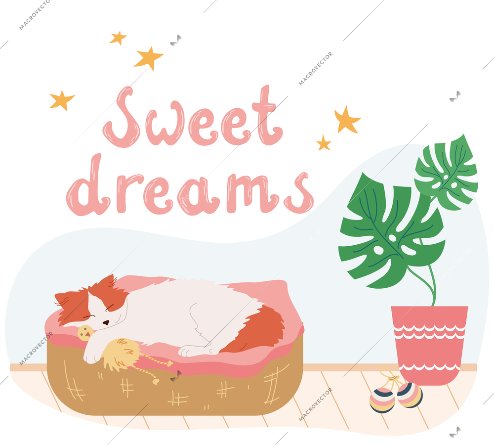 Cat accessories flat composition with ornate text stars home plant and cat sleeping in soft bed vector illustration