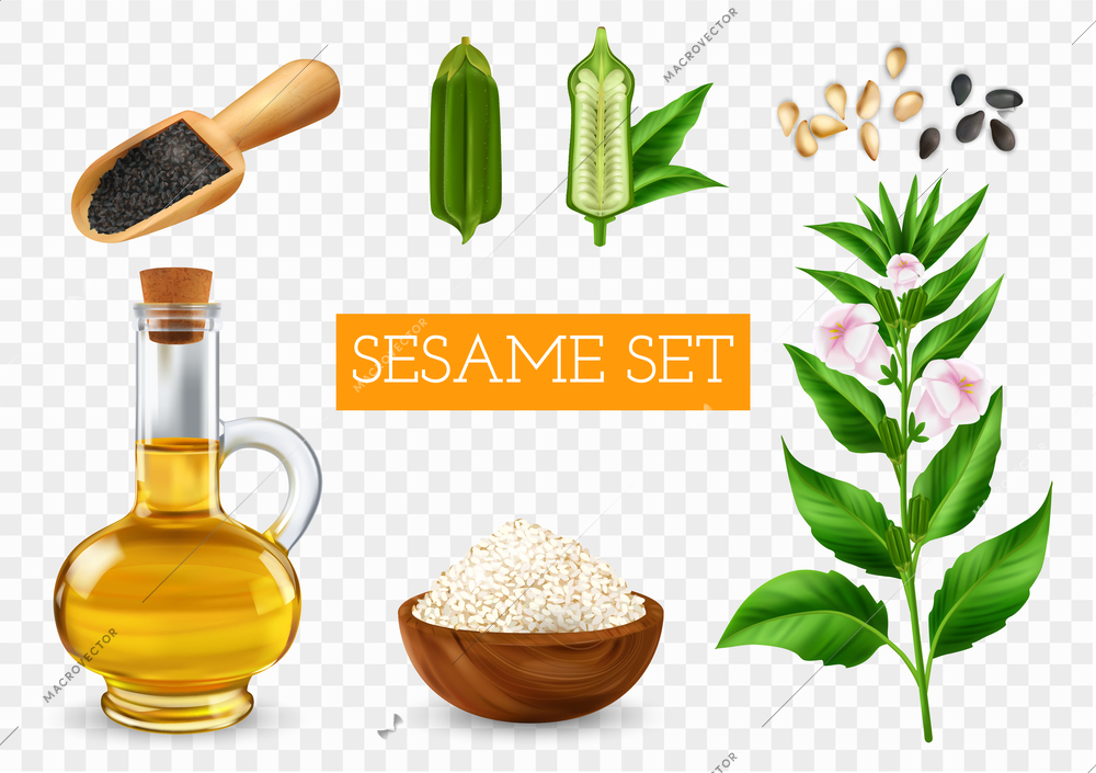 Sesame realistic elements set with jug of oil flower wooden bowl seeds isolated on transparent background vector illustration