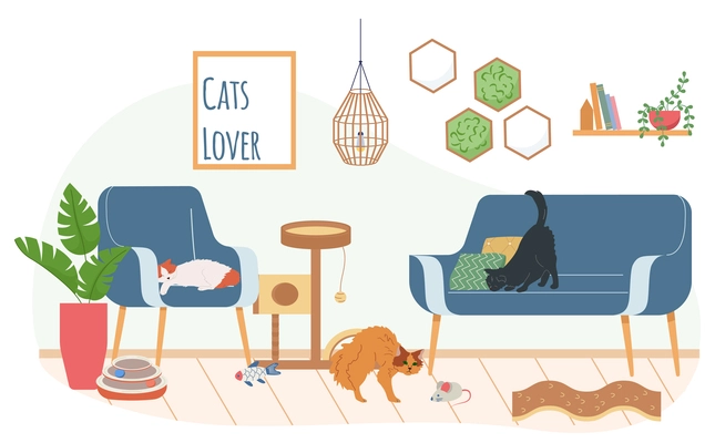 Cat accessories flat background composition with indoor scenery with toys soft furniture and three different cats vector illustration