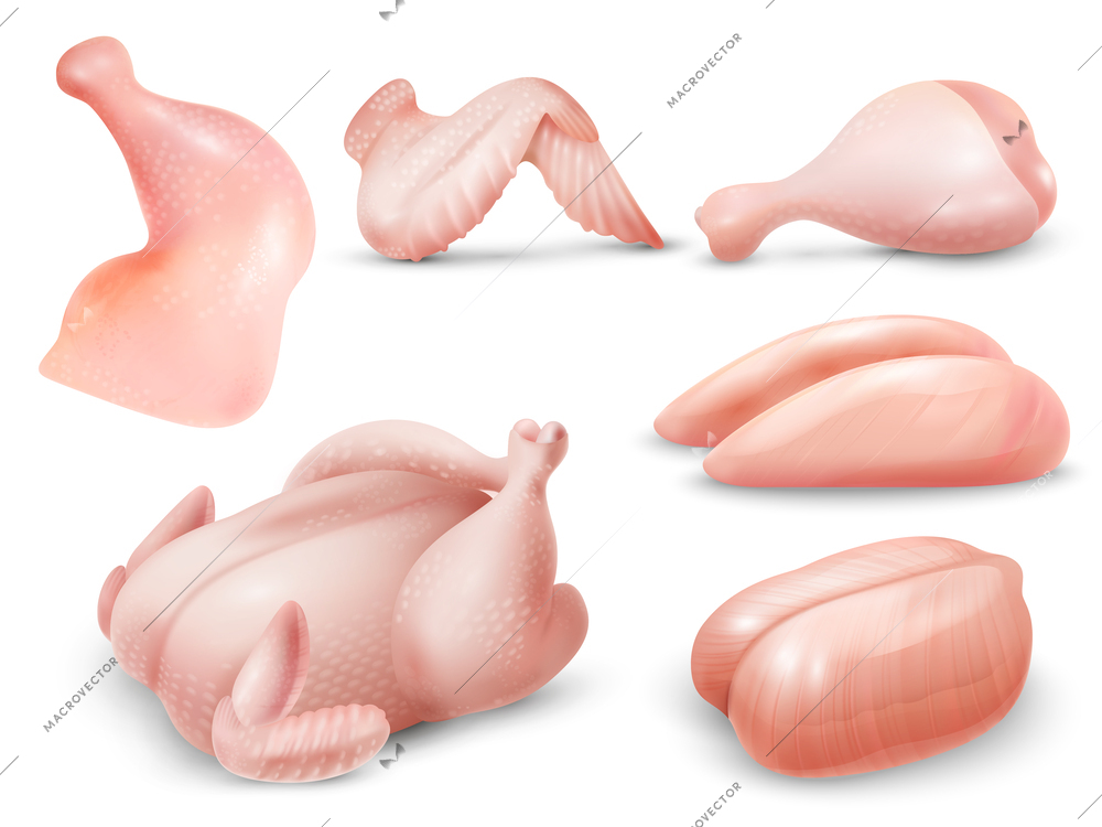 Realistic raw chicken meat set with carcass breasts wing leg quarter isolated vector illustration