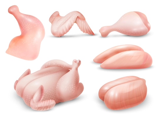 Realistic raw chicken meat set with carcass breasts wing leg quarter isolated vector illustration