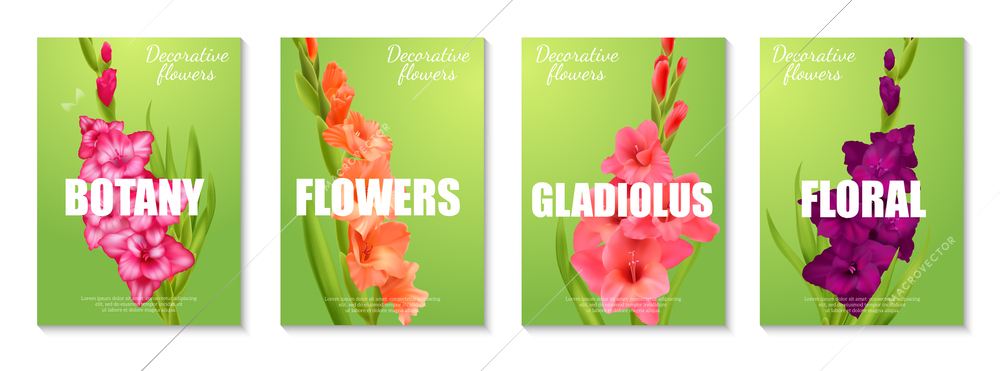 Vertical poster set with realistic gladiolus flowers of different colors against green background isolated vector illustration