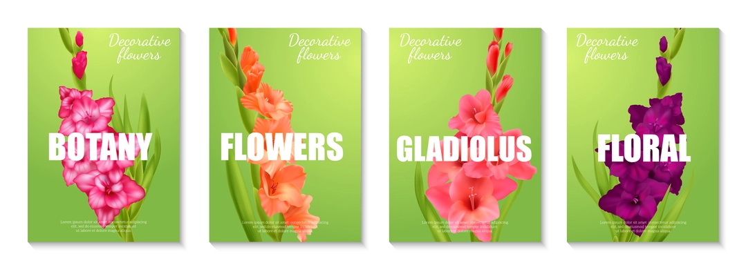 Vertical poster set with realistic gladiolus flowers of different colors against green background isolated vector illustration