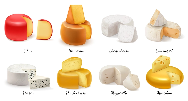 Realistic cheese icon set with edam parmesan sheep and dutch cheese camembert dorblu maasdam mozzarella vector illustration