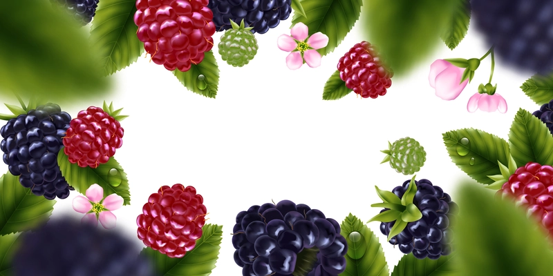 Realistic horizontal blackberry frame with flowers leaves and blurred elements on white background vector illustration