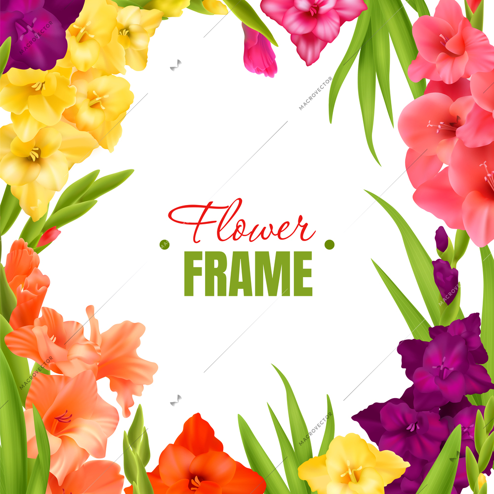 Realistic gladiolus frame with blooming flowers of different colors and green leaves vector illustration