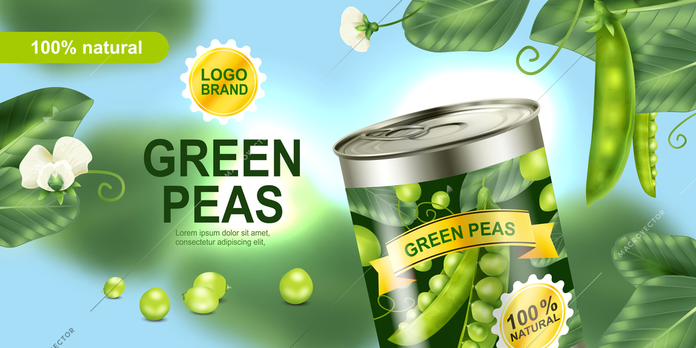 Realistic canned sweat peas ad poster with green beans plants and flowers vector illustration