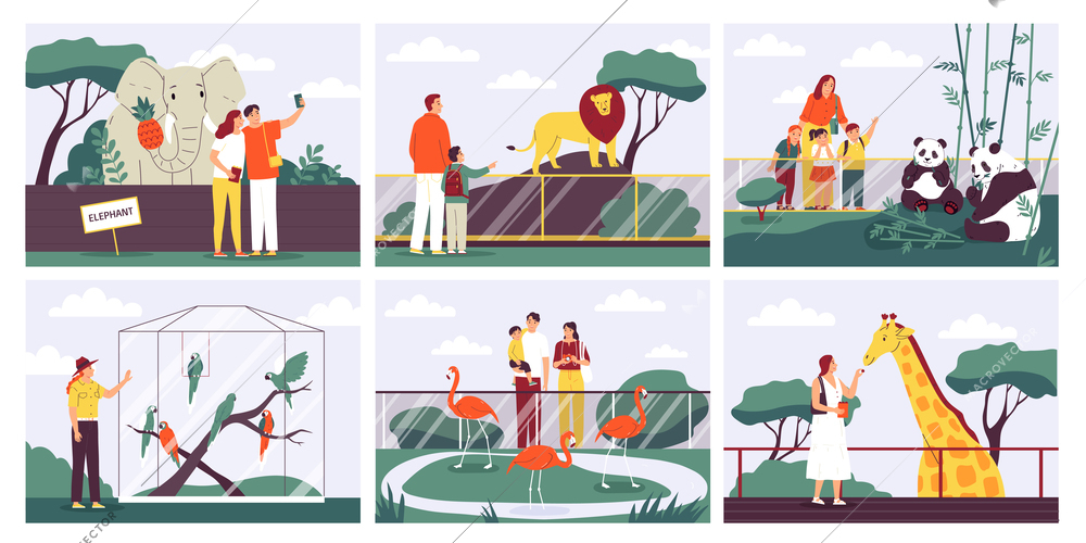 Zoo visitors flat compositions set with people looking at wild animals and birds isolated vector illustration