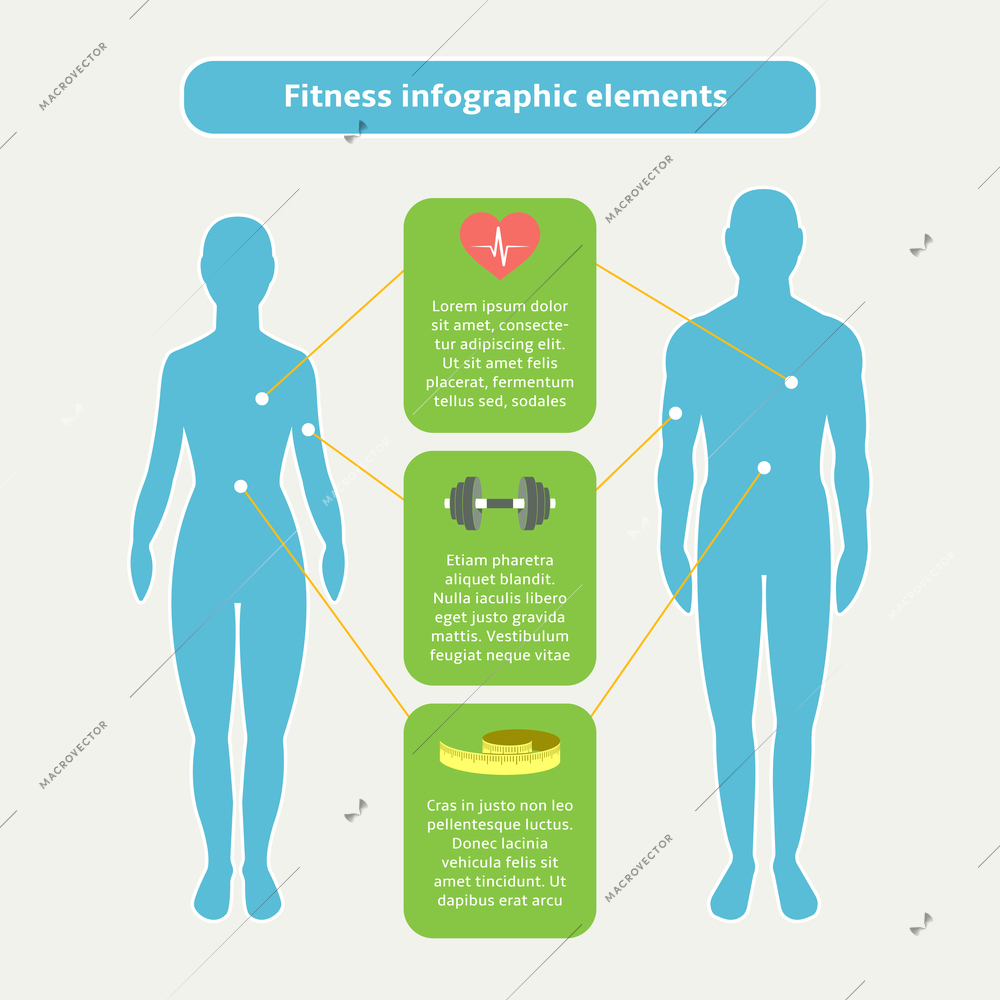 Infographic elements of fitness sports and healthcare vector illustration