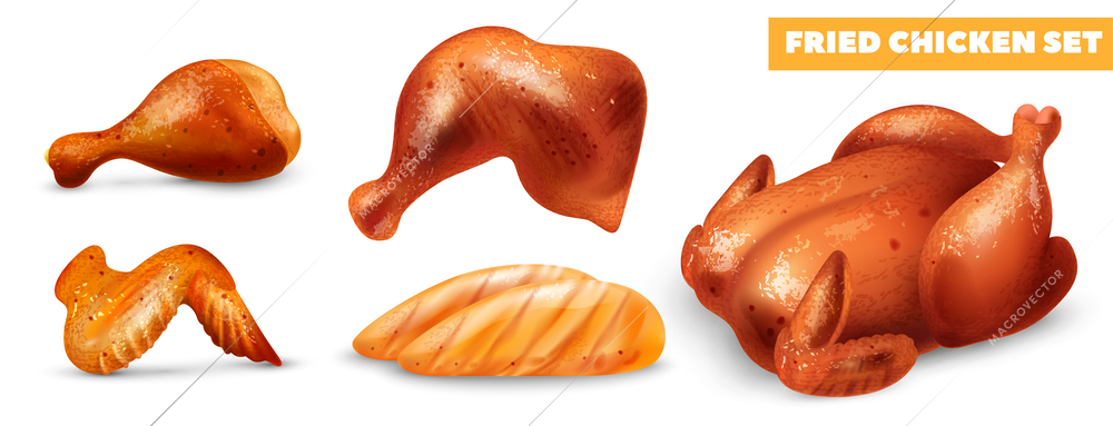 Realistic fried chicken set with roasted carcass breasts wing leg and quarter isolated vector illustration