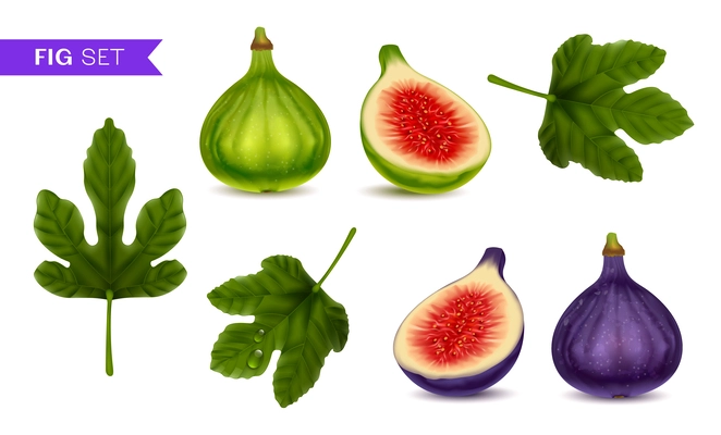 Figs realistic set of whole and cut green and purple ripe fruits and leaves isolated vector illustration