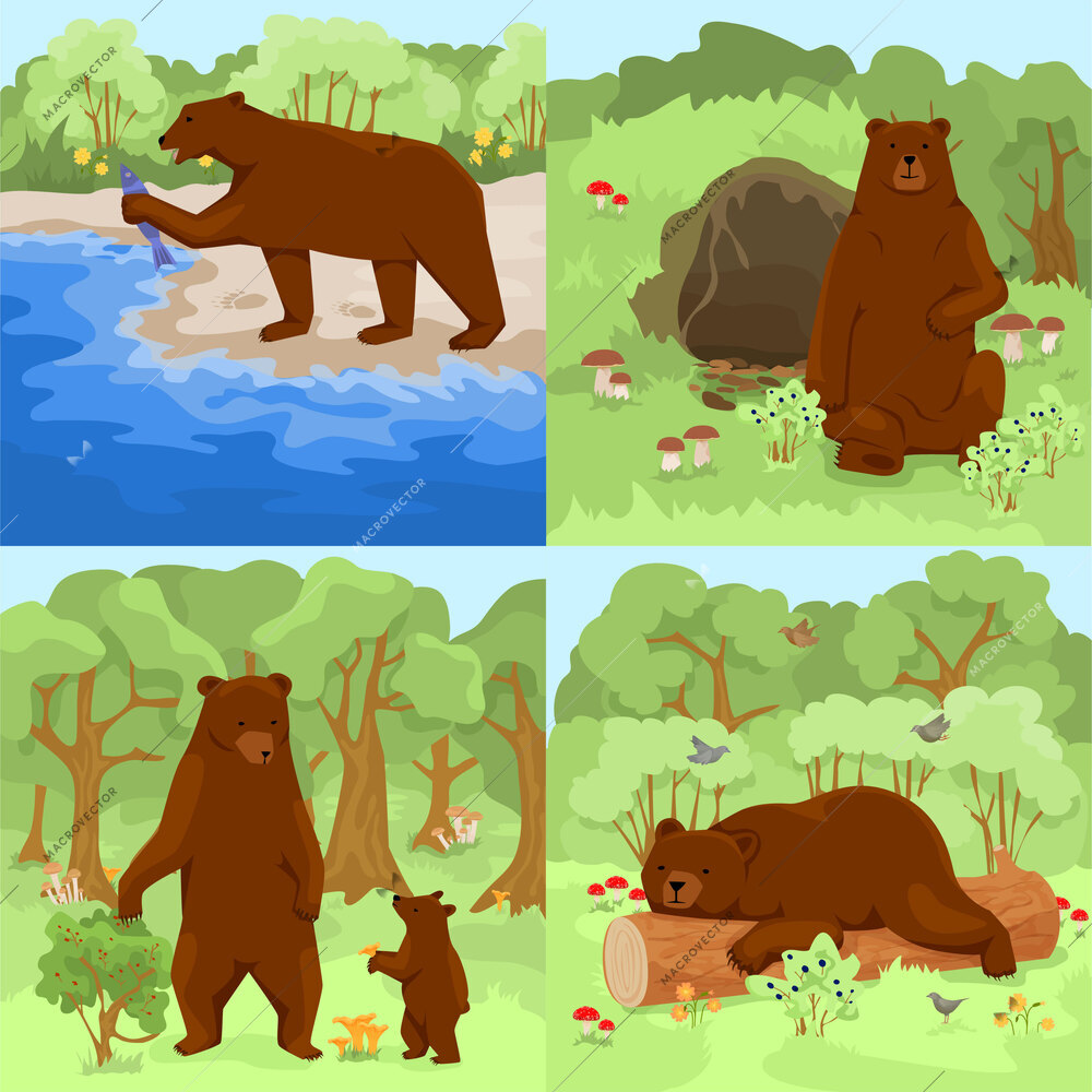 Set with four square compositions with outdoor forest landscapes and brown grizzly bears in their habitat vector illustration