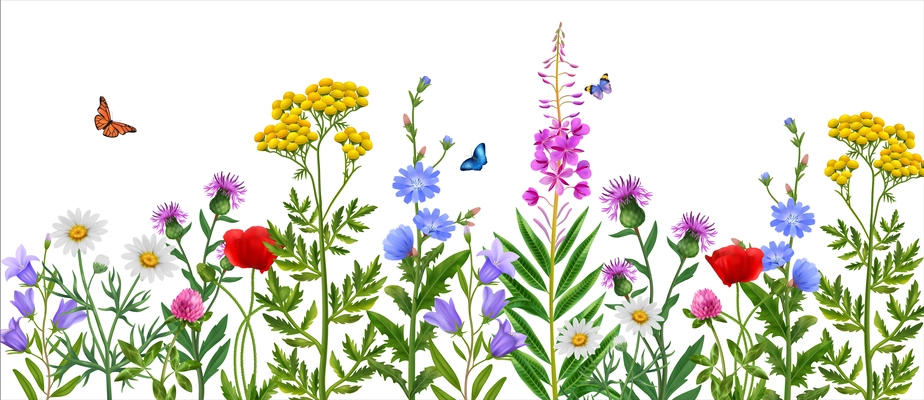 Realistic wildflower field with colorful flowers and butterflies vector illustration