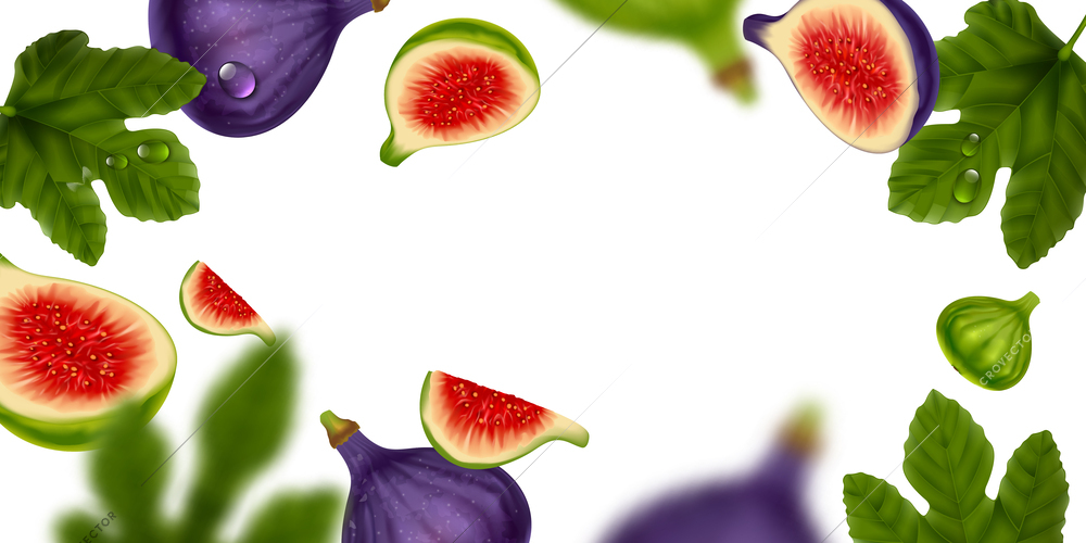 Fig realistic frame on white background consisting of whole ripe fruits fresh pieces and leaves vector illustration
