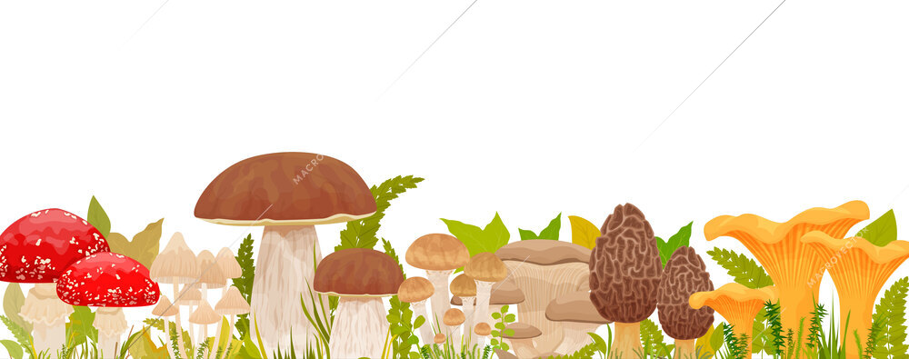 Mushrooms composition with flat set of various edible and poisonous shrooms among various leaves and grass vector illustration