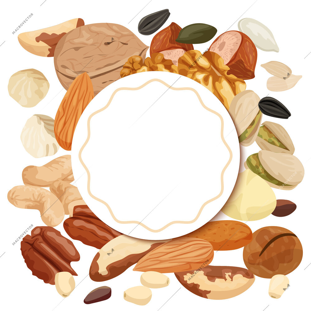 Composition with empty ornate circle frame surrounded by nuts and seeds flat set of bean icons vector illustration