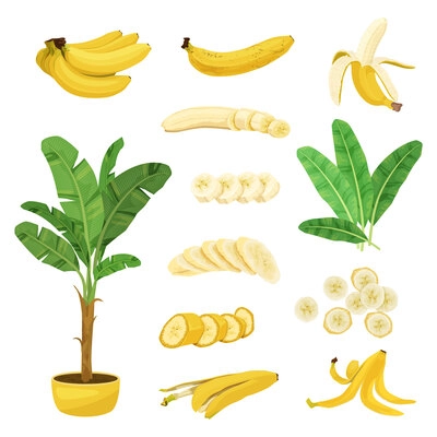 Banana flat set with isolated images of pot plant leaves and banana fruits with skin slices vector illustration