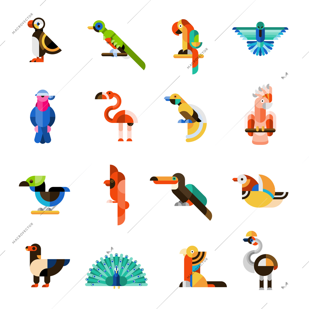 Colored jungle wild forest exotic birds icons set isolated vector illustration