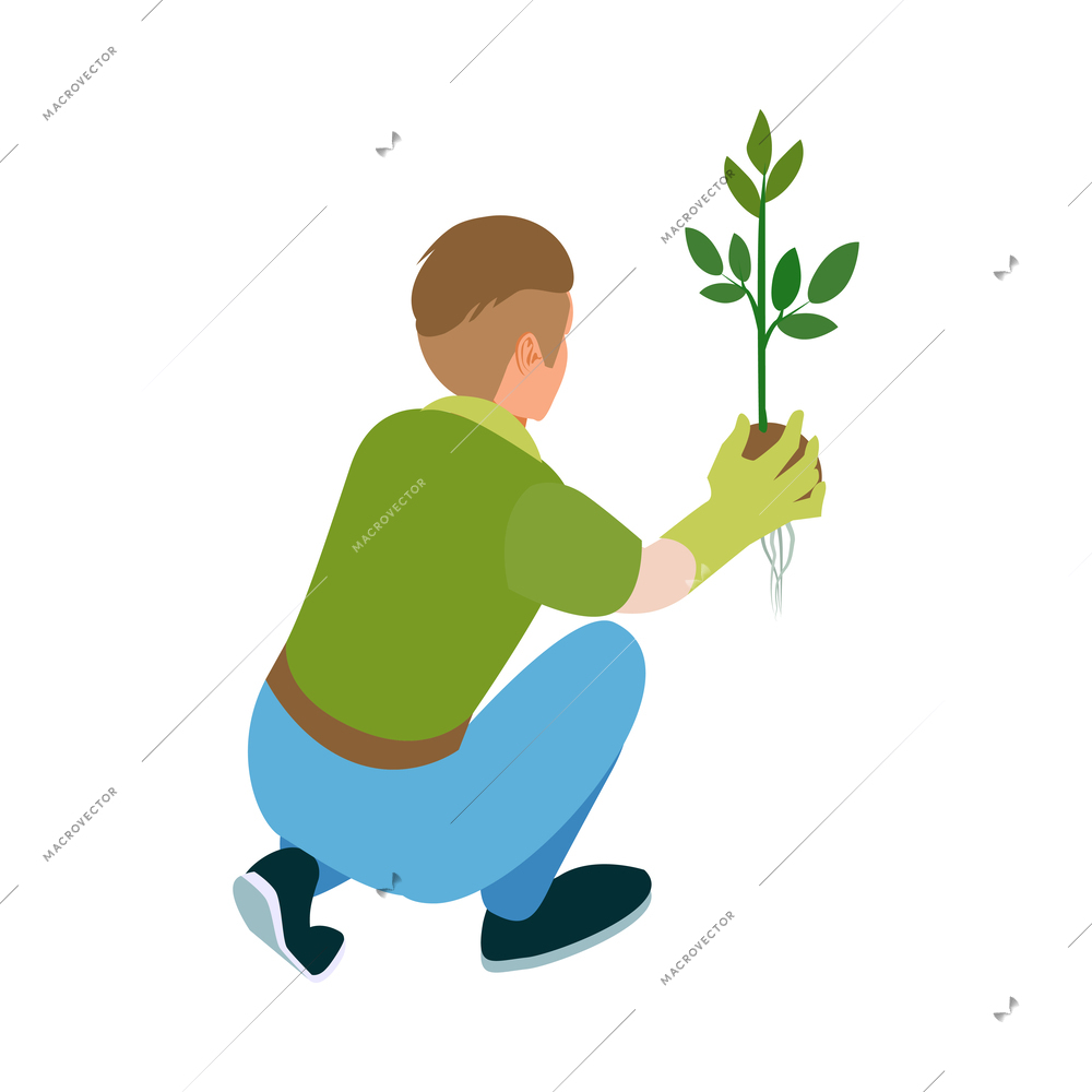Isometric greenhouse composition with isolated human character performing cultivation works vector illustration