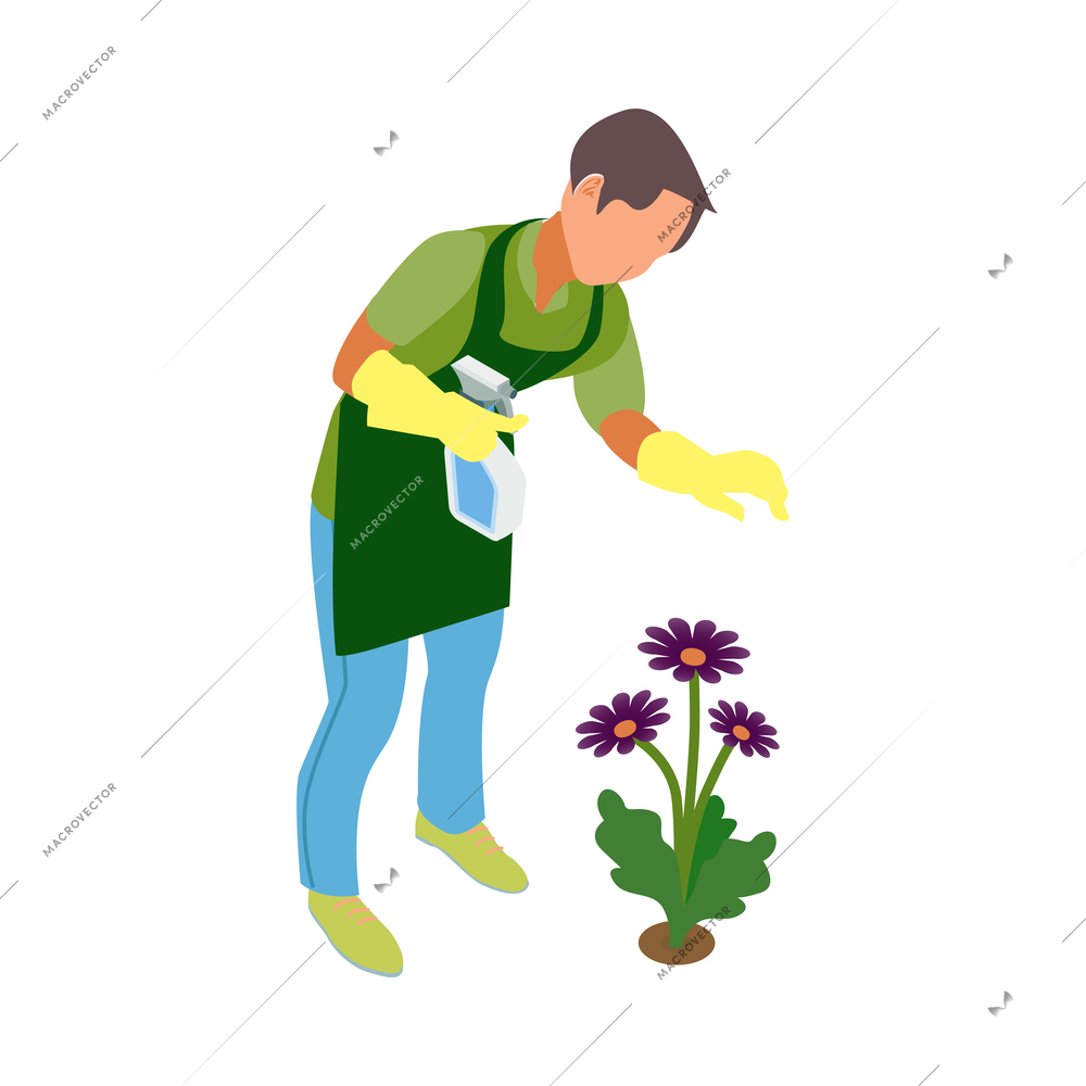 Isometric greenhouse composition with isolated human character performing cultivation works vector illustration