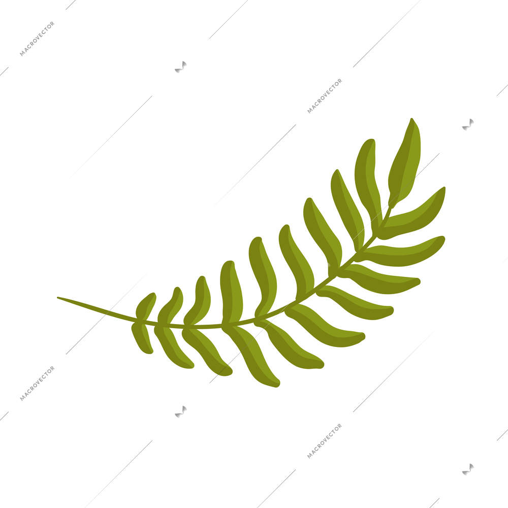 Tropical plants composition with isolated icon of exotic plant on blank background vector illustration