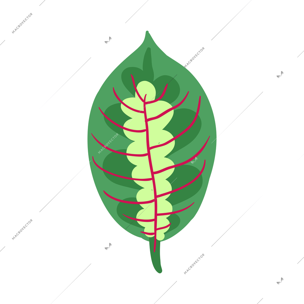 Tropical plants composition with isolated icon of exotic plant on blank background vector illustration