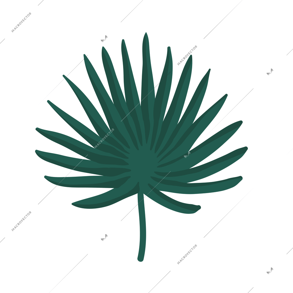 Tropical plants composition with isolated icon of exotic plant on blank background vector illustration